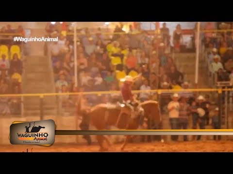 Waguinho Animal - Final Cutiano em Riolândia 25/08/18