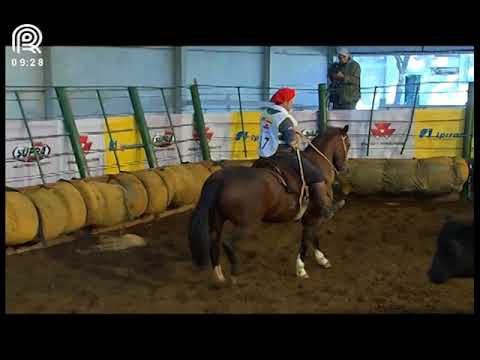 Classificatória Região Norte – 1° lugar fêmeas – Cambraia Cala Bassa (Prova: Mangueira II)