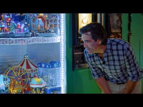 The Sepanek Family's Window Displays Shine - The Great Christmas Light Fight