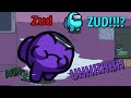 Zud Accidentally Outs Himself To SSundee