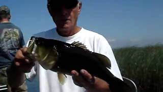 preview picture of video 'Fishing With Frank -  Largemouth Bass'