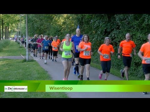 Wisentloop in Dronten
