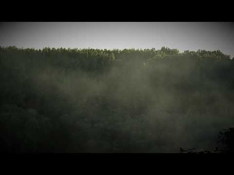 Improvisation on the Serge modular synthesizer (4U Mantra panel)