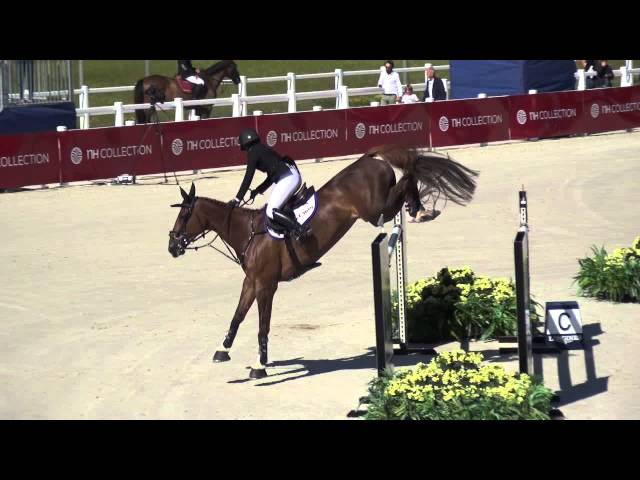 The half-sister of the mother of this embryo is the CSI 1.60m jumping mare Kanonja with rider Emma AUGIER DE MOUSSAC