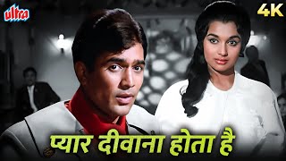 Download lagu इस गाने के इतने Remix बन चुके हैं लोग आज भी सुनते हैं Pyar Deewana Hota Hai | Rajesh Khanna, Asha P mp3 Download lagu इस गाने के इतने Remix बन चुके हैं लोग आज भी सुनते हैं Pyar Deewana Hota Hai | Rajesh Khanna, Asha P mp3