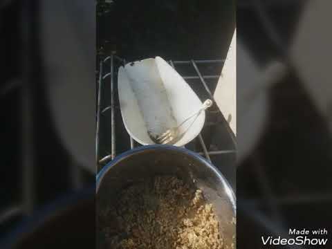 Tägliche Morgenroutine + Kochsendung🐔