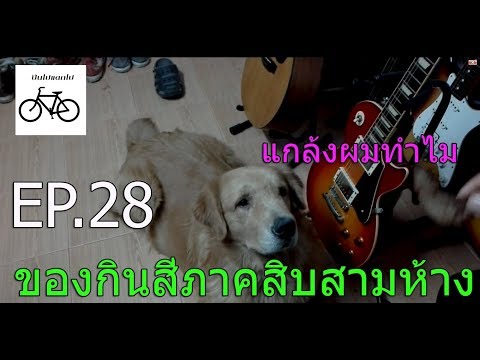 คลิกเพื่อดูคลิปวิดีโอ