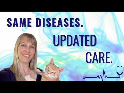 Old Cat Diseases Have NEW Solutions in 2026