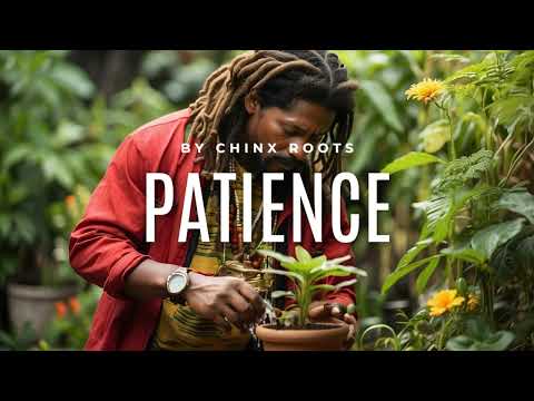 Reggae Beat Instrumental | 2024 | Patience