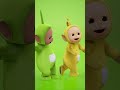 Silly Teletubbies Shorts