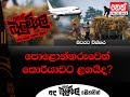 balumgala-17-01-2018