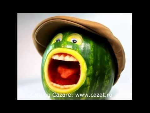 Cazare Costache Negri, Galati - Cazat.ro