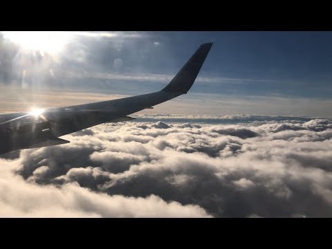 Delta Airlines Detroit to Seattle - Boeing 767-300ER - N183DN | 4K Video