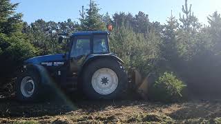 Haaland landbrug aps  med Knuser ved Hirtshals