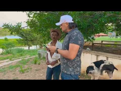 COMÉDIA SELVAGEM - 1 HORA DE TIRINGA