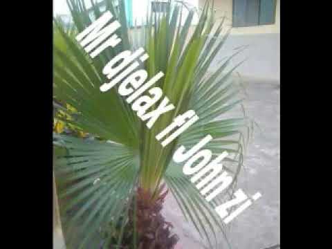 Mr Djelass Ft Djon Zi - Nipfunile N'wana Mamane 848302745