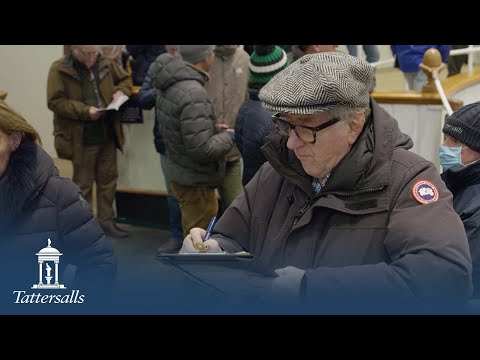 Tattersalls December Yearling Sale 2021 Review
