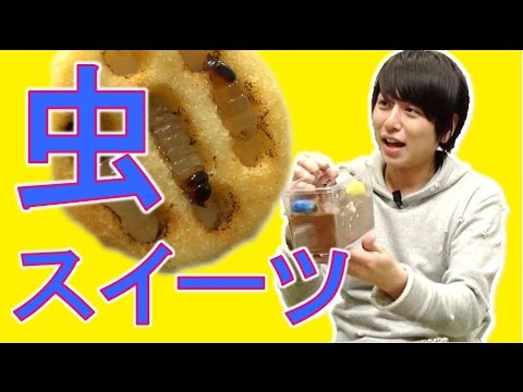 【グルメレポ!?】虫チョコ＆虫ケーキ食べてみた結果…【毎日19時！立石学園】