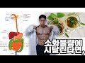 만성적인 소화불량에 시달리고 있다면,