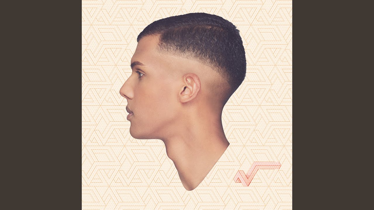 Stromae - Bâtard