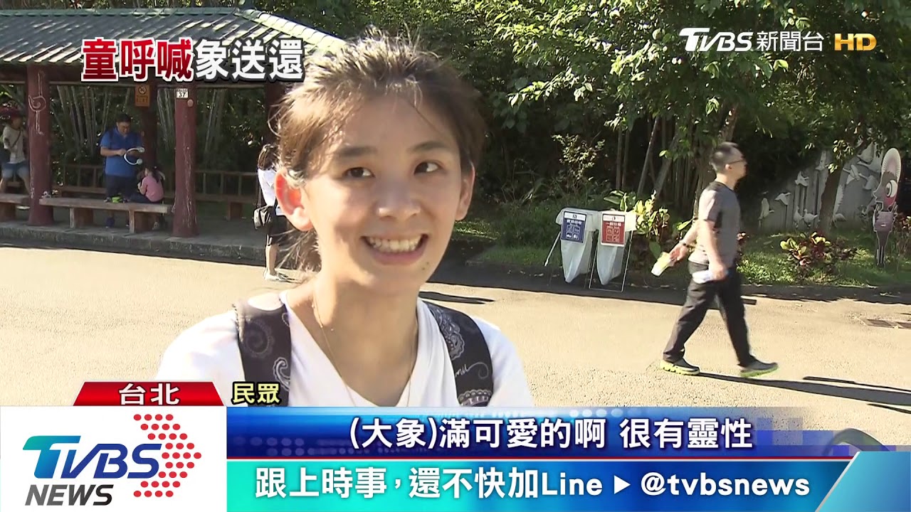 有靈性! 北市動物園大象幫遊客撿帽拋還
