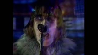 Oasis :: Carnation :: Totp