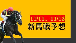 【新馬戦予想】グレナディアガーズ、ナミュールがの弟妹がデビュー！！！三冠牝馬の息子もデビュー