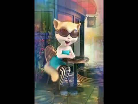 Talking cat of viresh