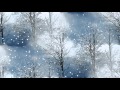 enquanto a neve cai.wmv 
