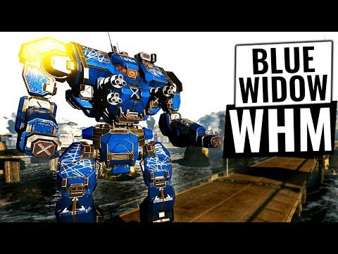 LORD OF THE CITADEL - Black Widow Build - Mechwarrior Online 2018 MWO - TTB