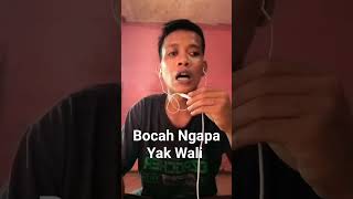 Download lagu Bocah Ngapa Yak Wali Band mp3
