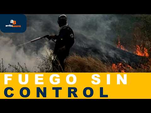 Las autoridades luchan contra seis incendios forestales descontrolados en Cundinamarca | CityTv