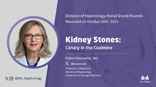 Kidney Stones: Canary in the Coalmine ft. Elaine Worcester, MD