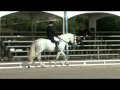 Encanto XI Sunshine Tour 2010