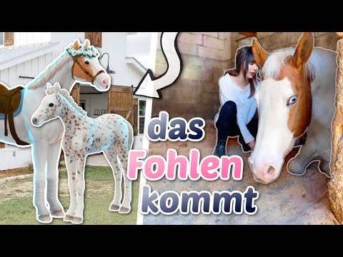 , title : 'Wir bekommen ein Fohlen 🥹 Der Rosenhof in Die Sims 4 | ViktoriaSarina'
