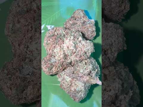 Street Farmacy Review