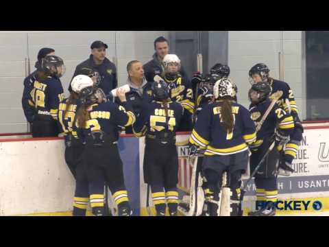 2017 MAHA Girls 19U Tier 2 state title game