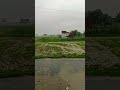 Inkar Ho Na Jaye Hindisong Sorts New