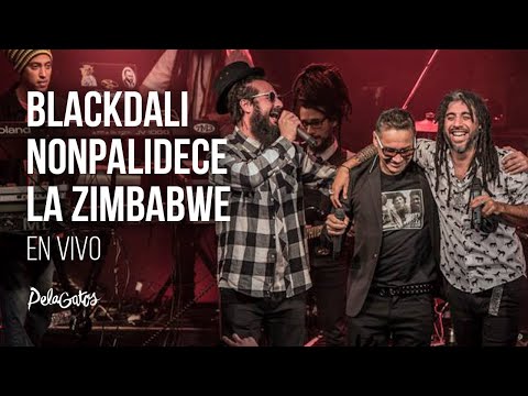 Blackdali ft. Nonpalidece & La Zimbabwe - Espejo & Red Red Wine - Reggae en PelaGatos