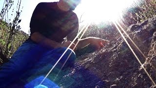 How Were The Elements Created?