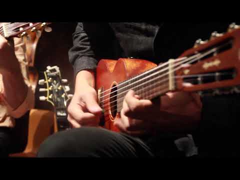 Wesley Amorim six-string ukulele solo