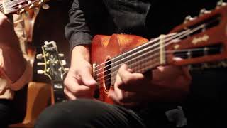 Wesley Amorim six-string ukulele solo