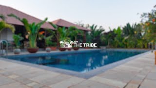 The Tribe