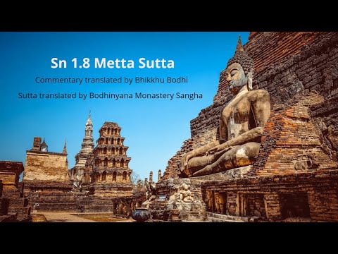 "Sn 1.8 Mettā Sutta - Loving-kindness" - Share Your Favorite Sutta