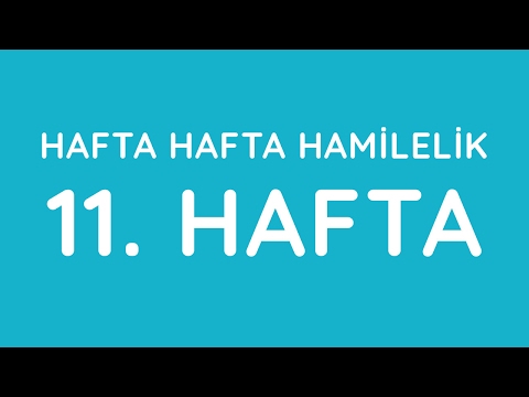11.Hafta - Hafta Hafta Gebelik - Hamilelik | Anneysen.com