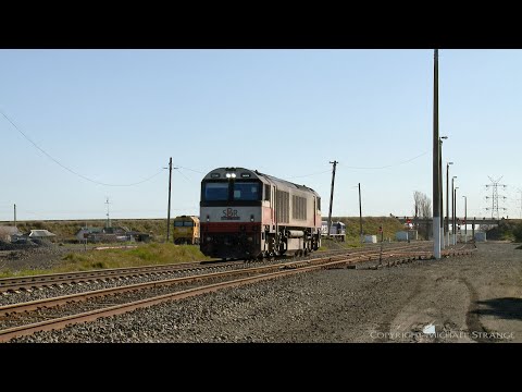 CSR008 Light Engine At Gheringhap - PoathTV Australian Trains & Railways