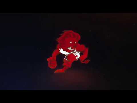 BSN Ponce Leones 2018 - Quebradillas en Ponce