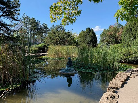 Egy délután a Margit szigeten