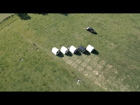 How To Raise Pastured Meat Chickens (Short Documentary)