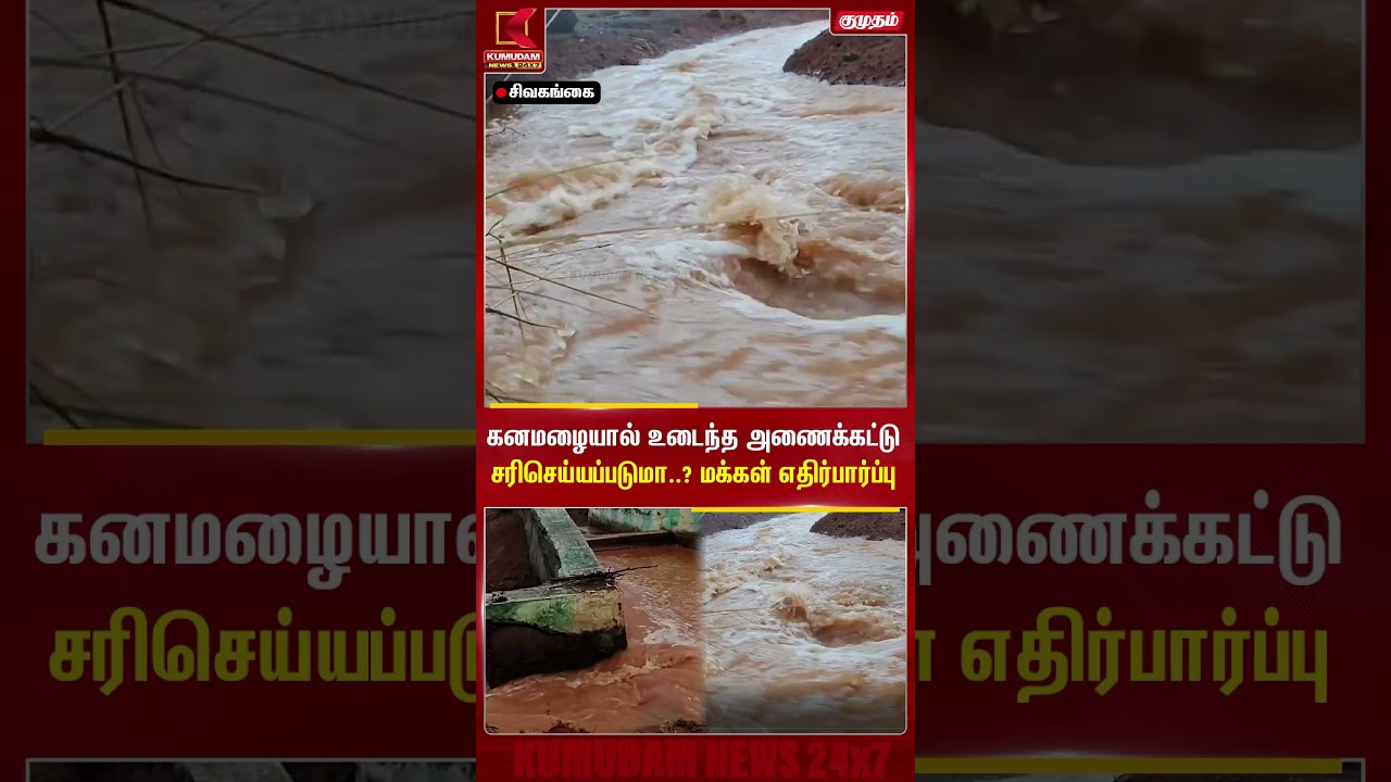 கனமழை சேதம்..! உடைந்த அணைக்கட்டால் மக்கள் கவலை | Sivaganga | Heavy Rain | Dam Damage #shorts